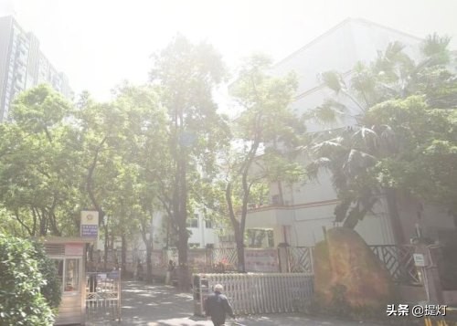 深圳育才一小对口哪个小区,深圳育才一小怎么样