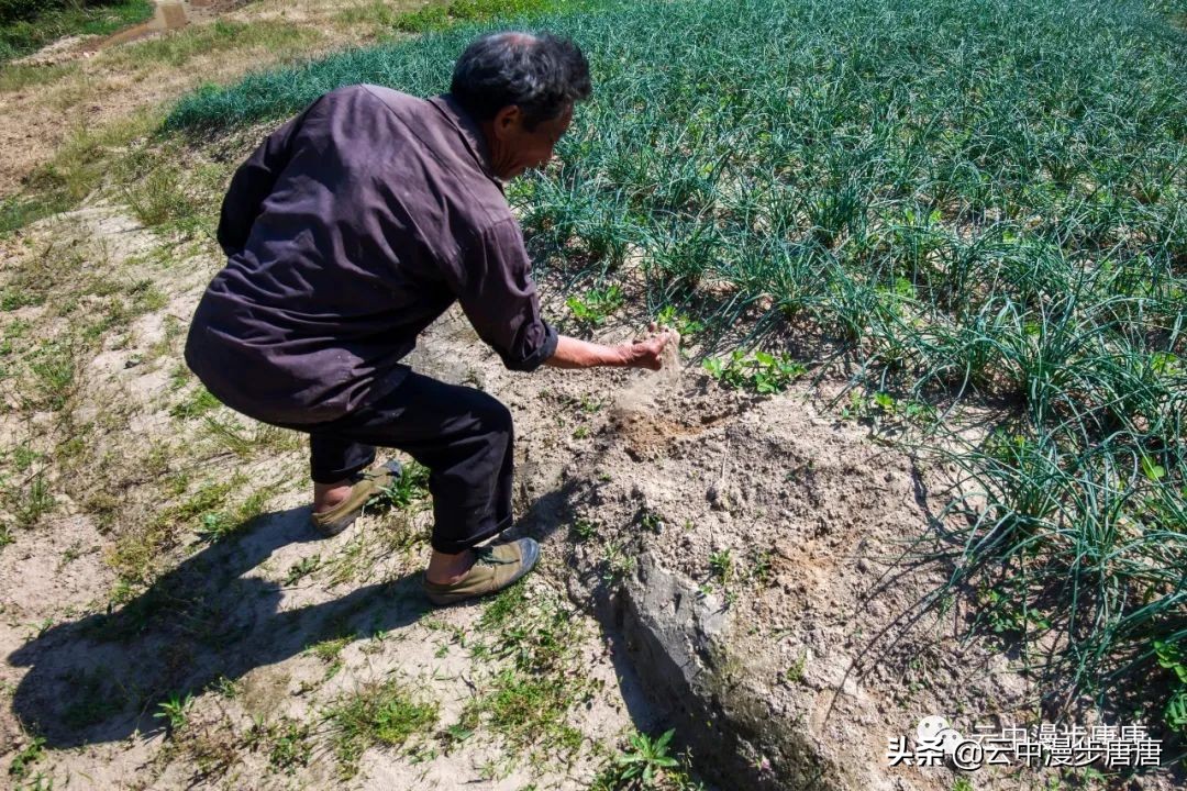 四川岳池黄龙水库,岳池黄龙杨家沟水库