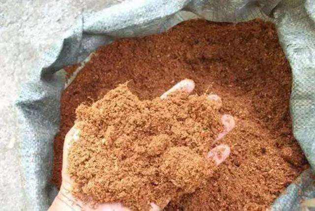 管控、封国、隔离、涨价，这些园艺耗材受影响