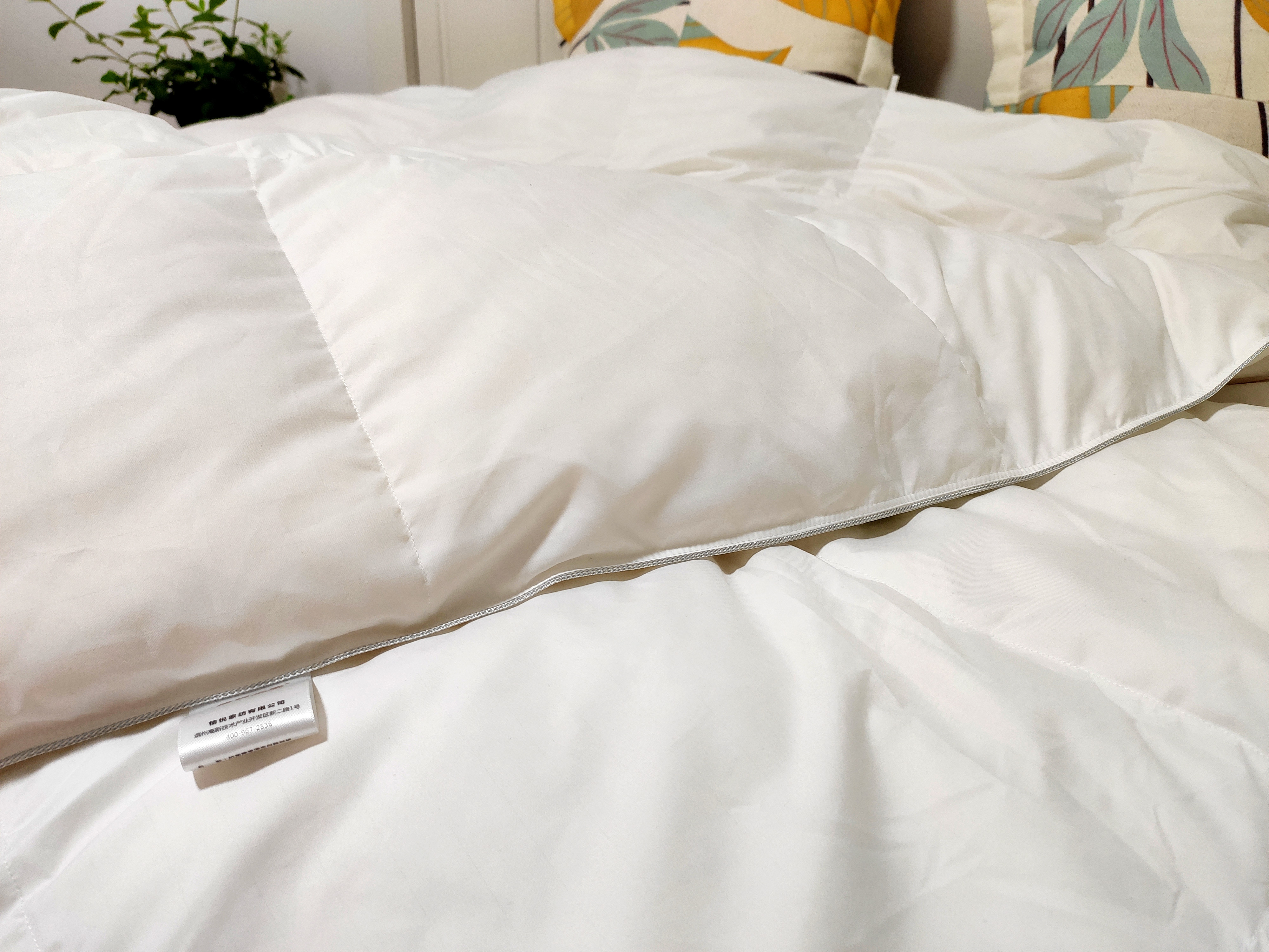 心心念念了好久的鹅绒被，终于安排上啦