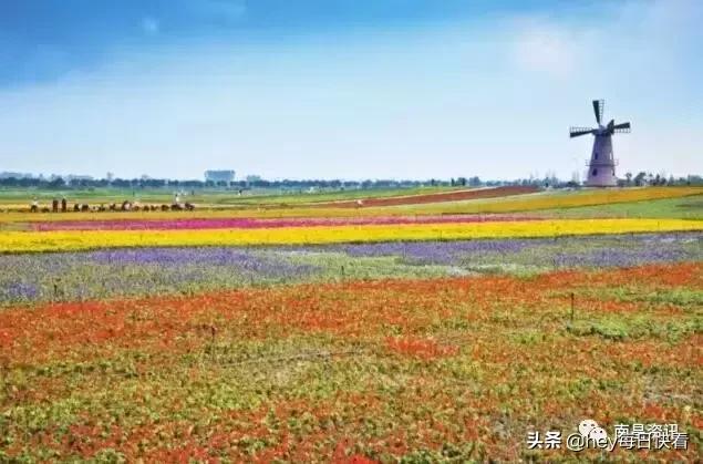 金三银四辞职信,金三银四辞职季