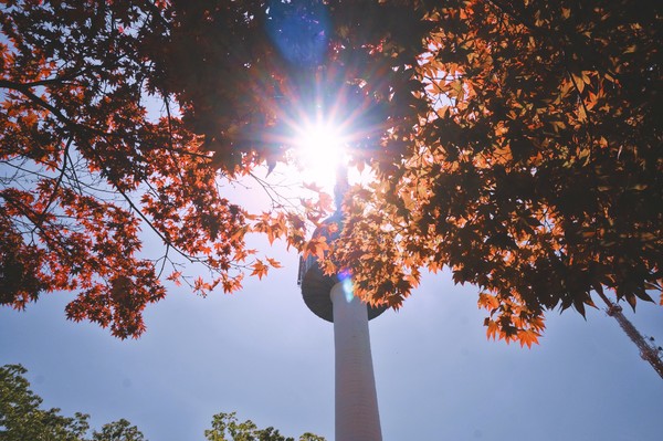 一个念头完整版,一个念头吉他