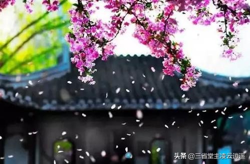 崔护名垂青史的一首诗,崔护人面桃花诗粤语