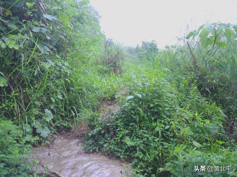 正安县何家山古道,贵州遵义安场古道