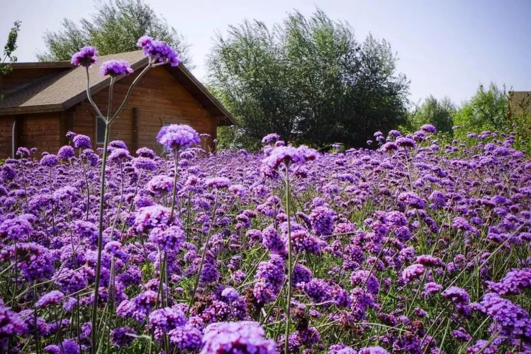 讲好黄河故事传承河洛文化,讲好黄河故事传承黄河文化内容