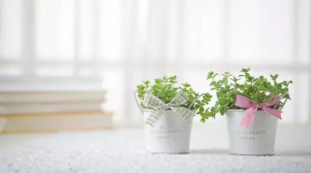 语文文学常识大全最全,语文文学常识总汇大全