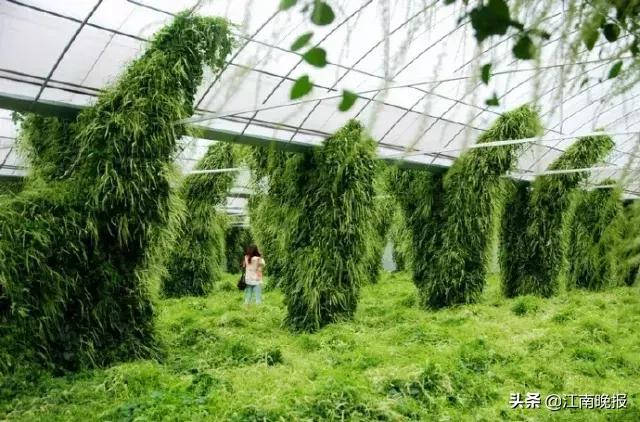 外地落户无锡养老有什么享受,落户无锡能享受当地人福利么