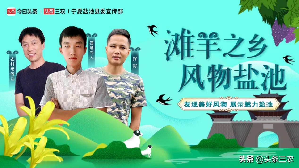 风物中华大好河山,滩羊之乡风物盐池