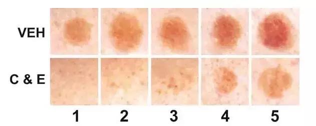 适合皮肤暗黄的护肤品李佳琦推荐,淡斑提亮肤色李佳琦推荐