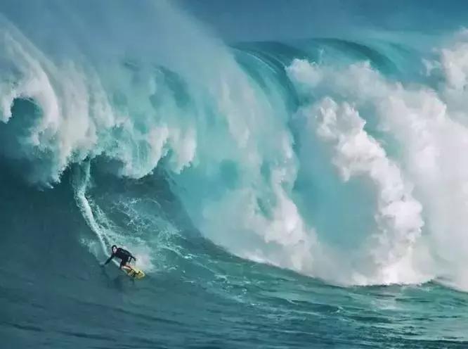 雕爷：我为什么说Costco在中国成功的概率几乎为零？