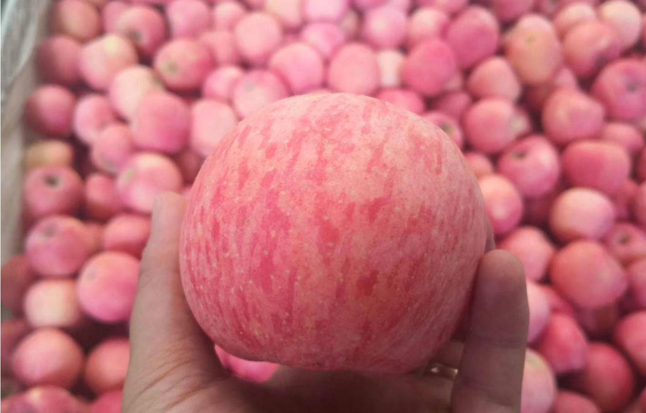 从摇钱树变成了“要钱树”，谁来为3000万吨红富士苹果买单？