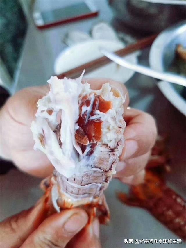 魂牵梦绕的绿色净土，真的美翻了，东戴河德福缘农家院