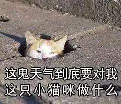 强烈推荐这家糖水铺超级好吃,广东最好吃的糖水铺