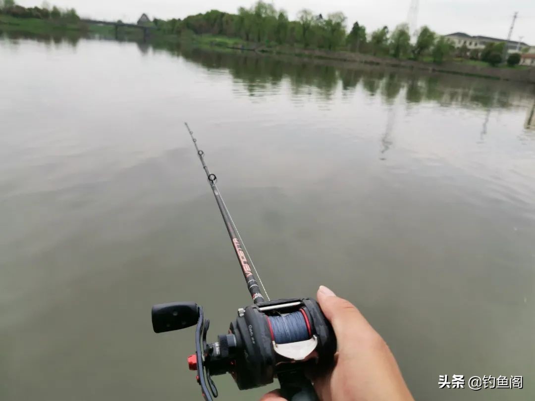 泥鳅钓鱼真的可以钓很多吗,泥鳅钓鱼真的好钓吗