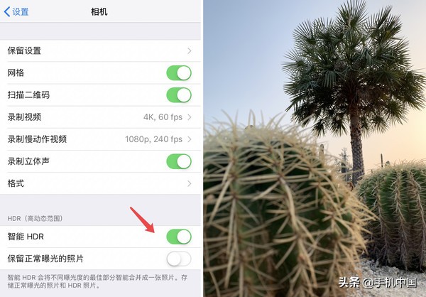 苹果手机拍照获奖作品,怎么用好手机拍照的专业功能