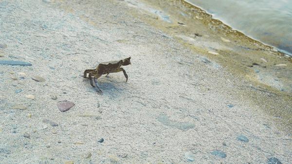 四川省青神县有哪些地方,四川青神有什么好玩的