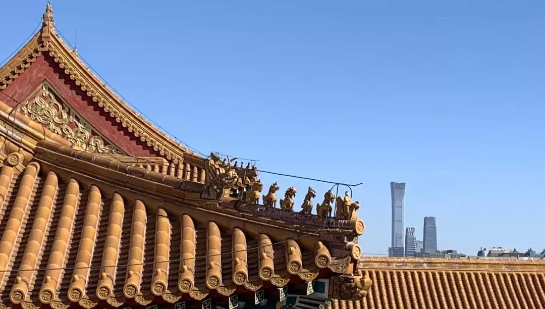 谁敢在故宫“上房揭瓦”？30年练成飞檐走壁，也只有这群大神了