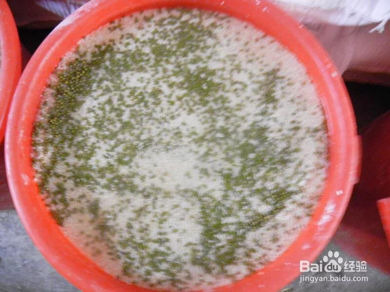 绿豆粉如何过浆,绿豆粉正确使用方法