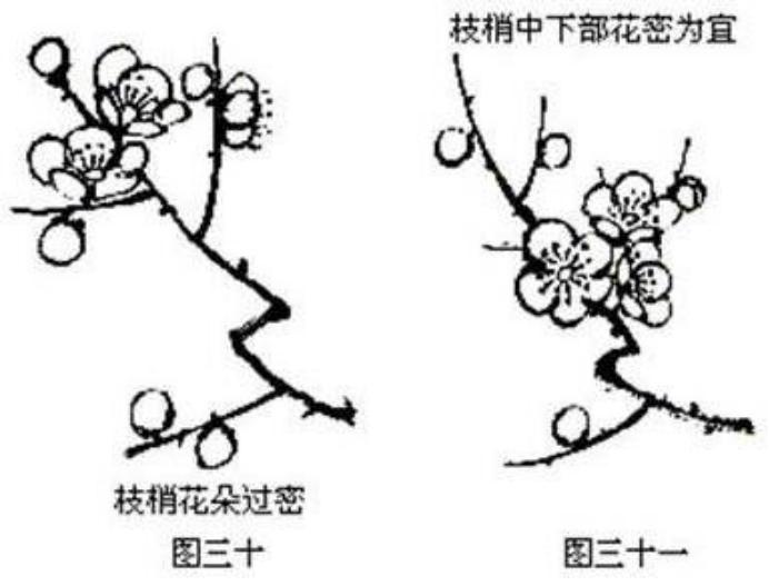 梅花画法简笔画,梅花画法的视频