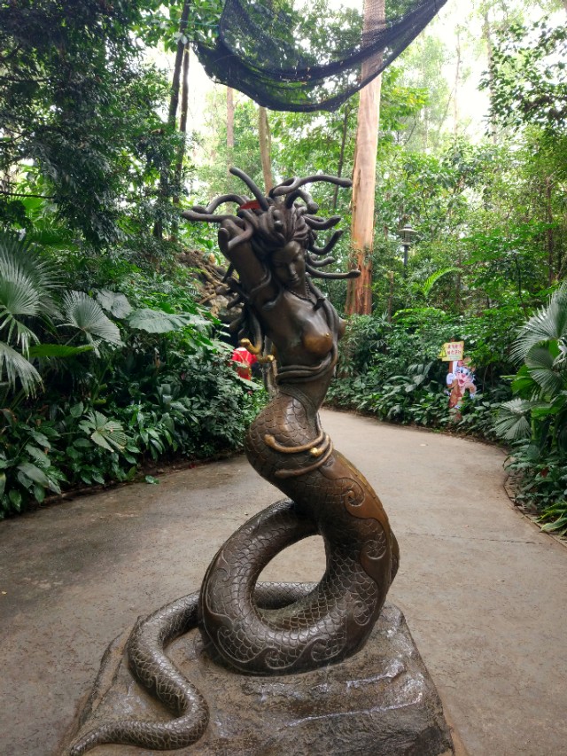 广州番禺区长隆野生动物世界缆车,广州旅游长隆野生动物世界