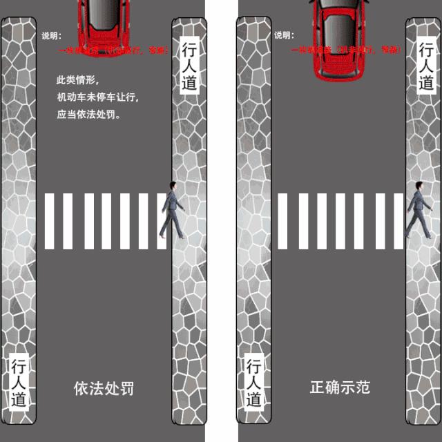 斑马线不礼让行人晚上九点多拍么,斑马线礼让行人被拍违停