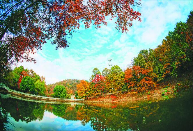 合肥蜀山区晚报,合肥晚报滨湖区