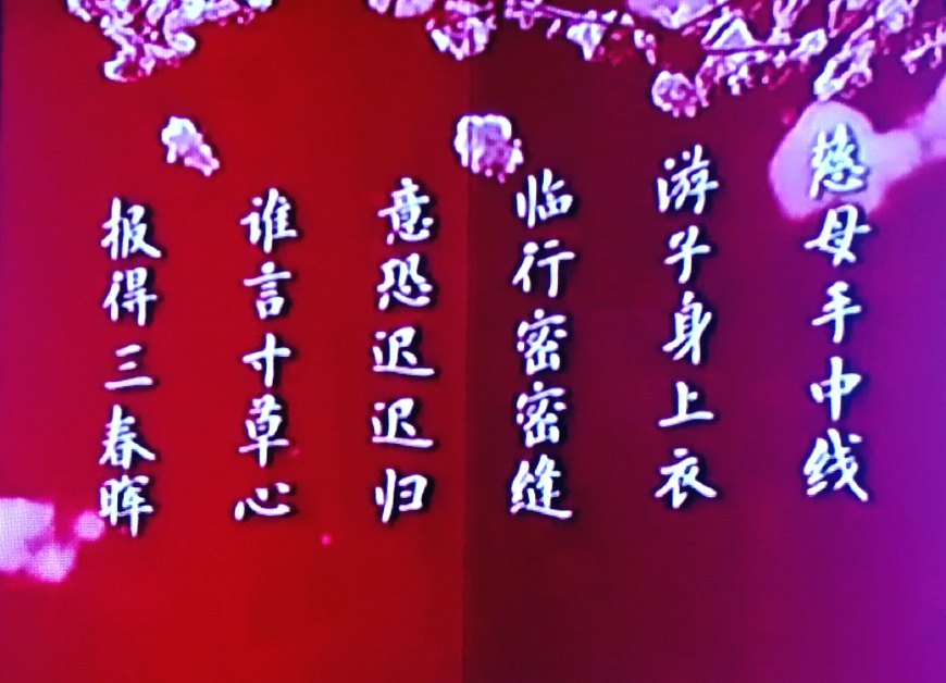 「解疙瘩」父母说话不讲道理，我该怎么办？