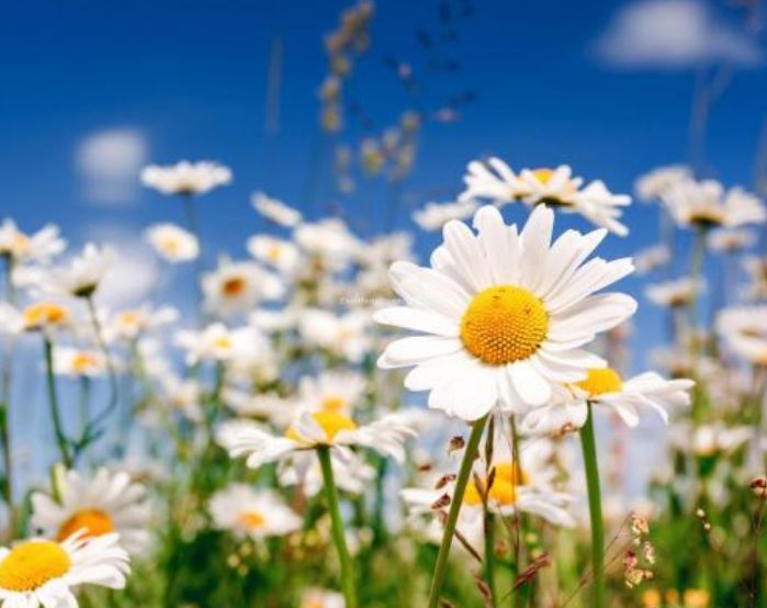 不忍直视！老哥直肠塞进直径7cm广口玻璃杯！这回菊花真的残了