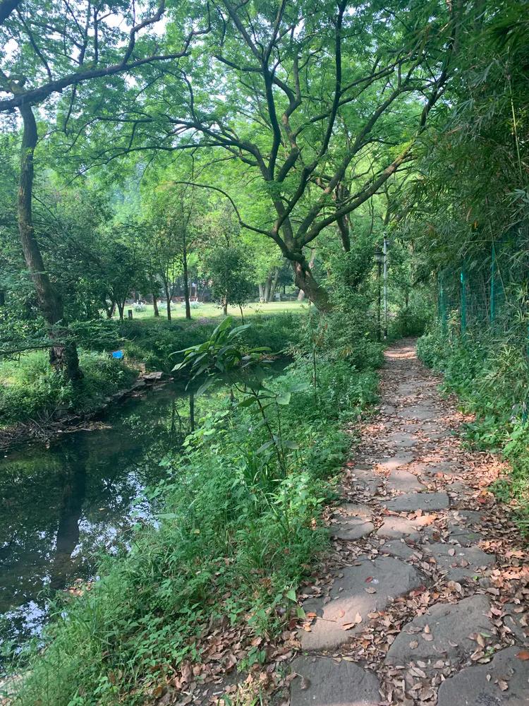 龙井村九溪十八涧徒步最佳路线图,九溪十八涧只有龙井村一个出口吗