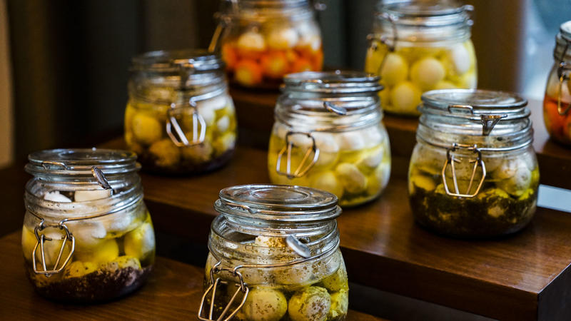 从天空到海洋到大地的视频,从天空到海底绘本