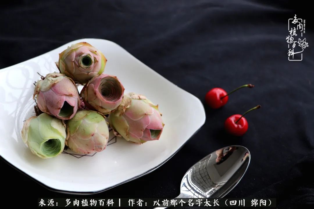 山地玫瑰夏天,夏季的山地玫瑰