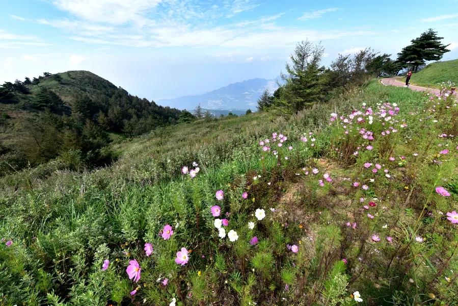 景点山楂树之恋,相约百里荒