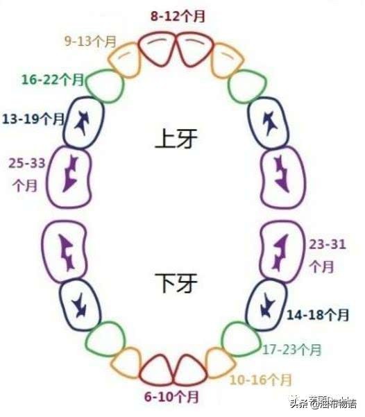 芋教QA：1岁月龄宝宝那些事儿