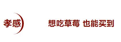 疫情之下保障农产品供应,湖北疫情防控物资自给能力