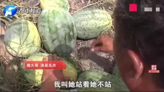 瓜农西瓜被偷倒赔300元反转来了,农民西瓜被偷反倒赔300元