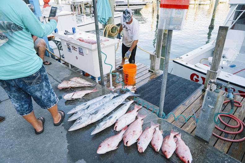 佛罗里达阳光之州,美国阳光之州佛罗里达