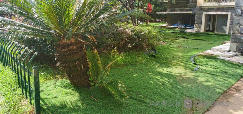 南昌绿地绿化,南昌绿化比较好的小区