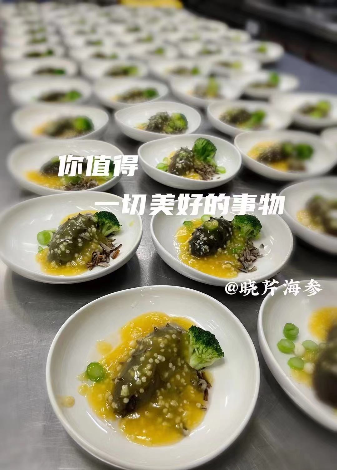 晓芹海参宣传视频,晓芹海参宣传片