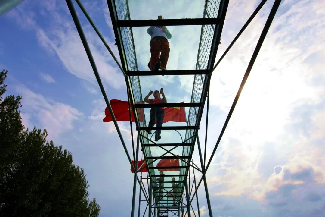 津门网金熙男：最美的稻田