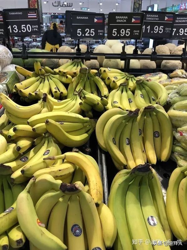 迪拜物价有多高,迪拜物价咋样的