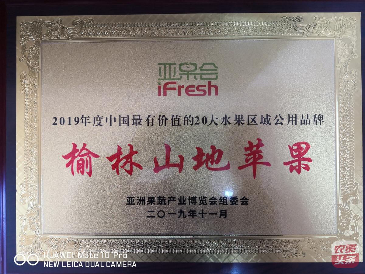 瀵岀閰电礌楗搧,瀵岀閰电礌鍥剧墖