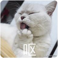 马桶和蹲厕哪个好,蹲厕好还是坐便器好