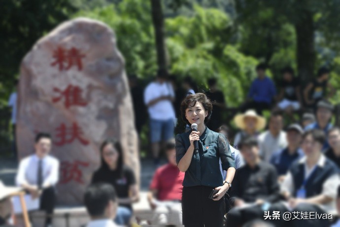 央视海霞穿旗袍,海霞旗袍