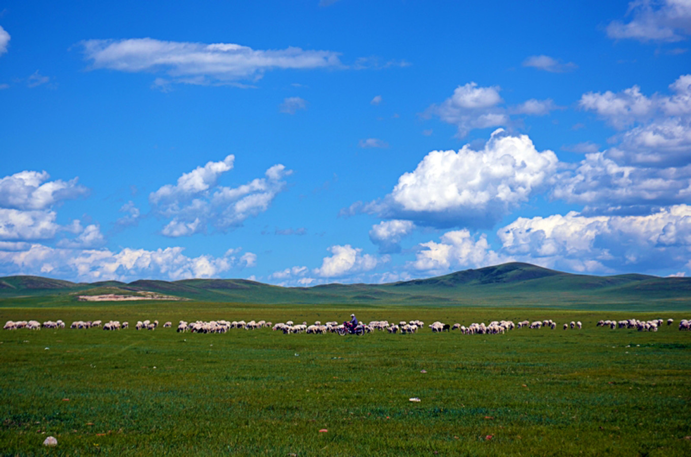 乌珠穆沁草原狼图腾,狼图腾草原魂歌曲