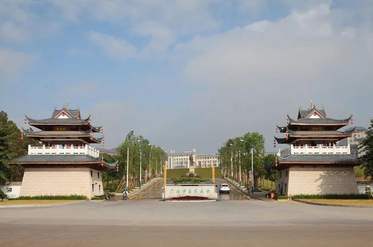 广西医科大学全国排第几名,2020全国高校名单广西医学院