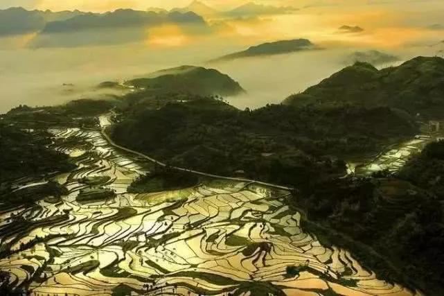 茗岙梯田航拍中国,茗岙梯田仙境