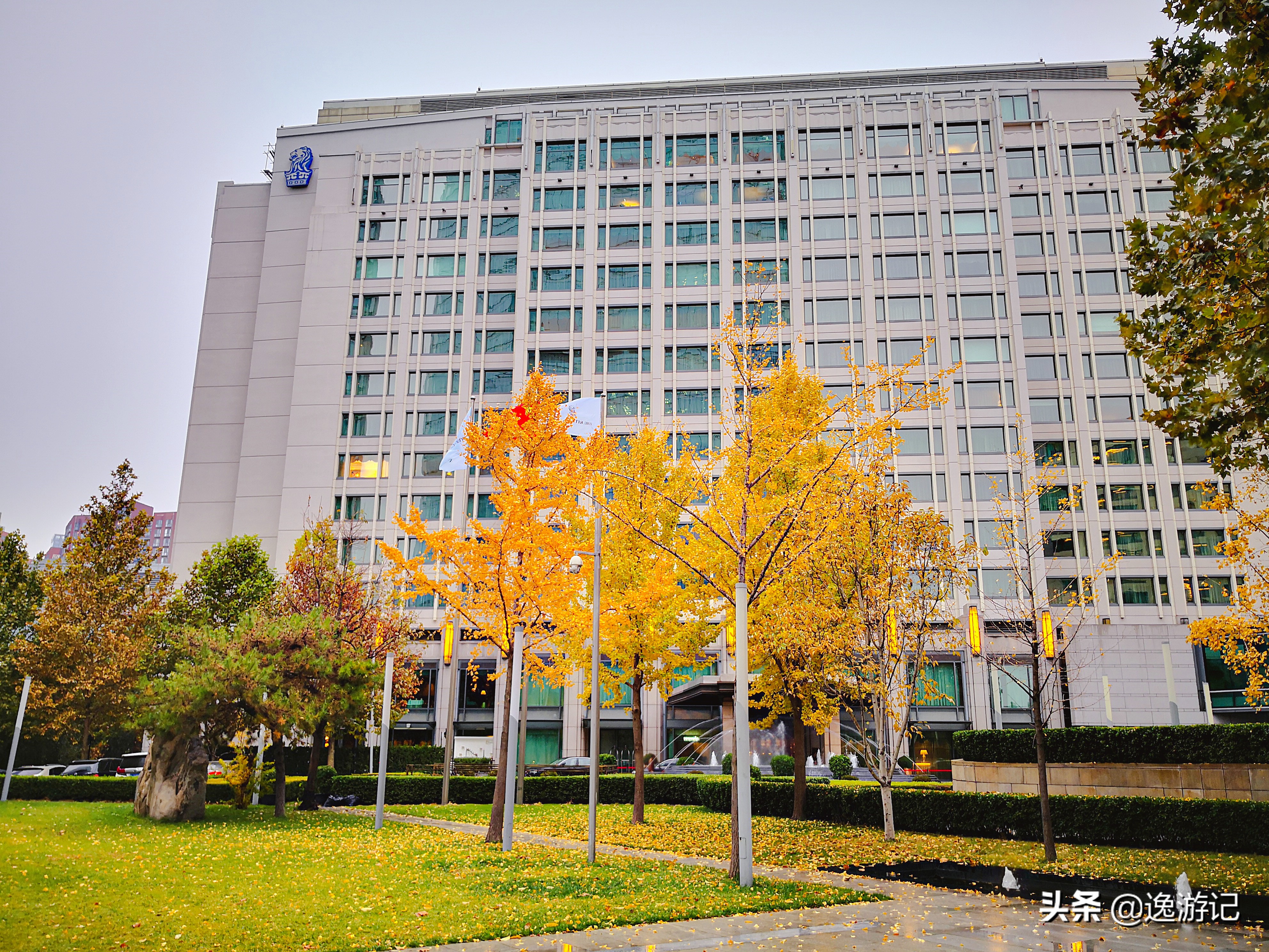 国内最佳丽思卡尔顿酒店,澳门丽思卡尔顿酒店哪个房间好