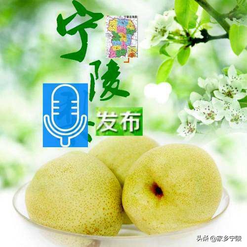 睢宁电商一年营业额有多少亿,商丘县电商发展现状