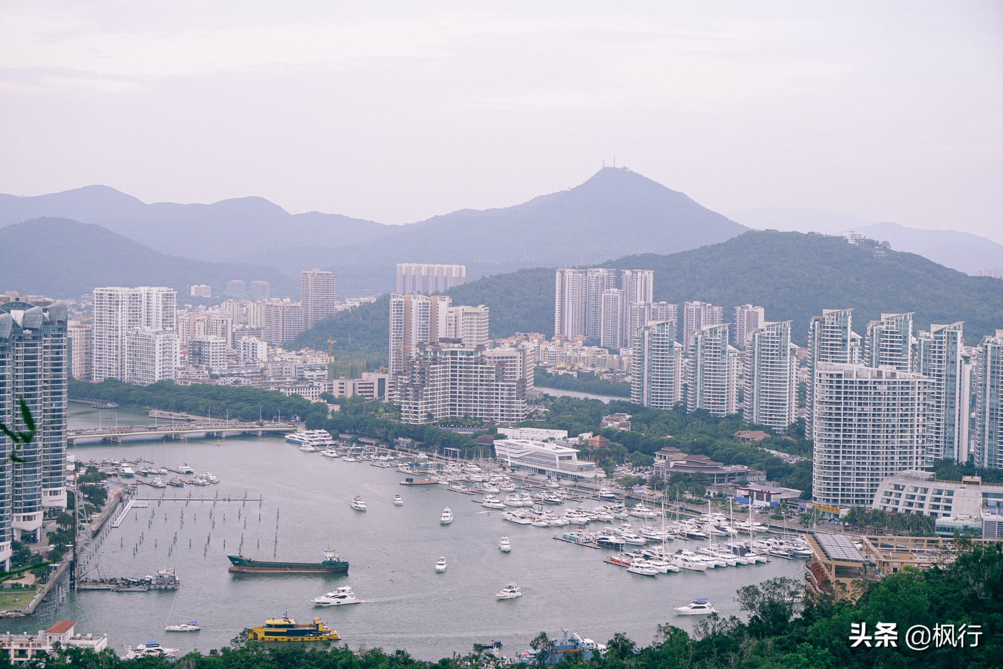 被猴子袭击，门票昂贵，拍照被轰，被我全程吐槽的三亚到底值不值