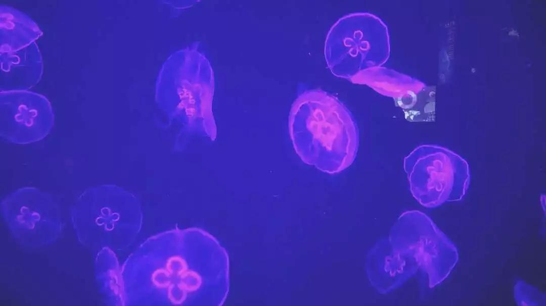 长沙五一打卡游玩,长沙旅游打卡攻略